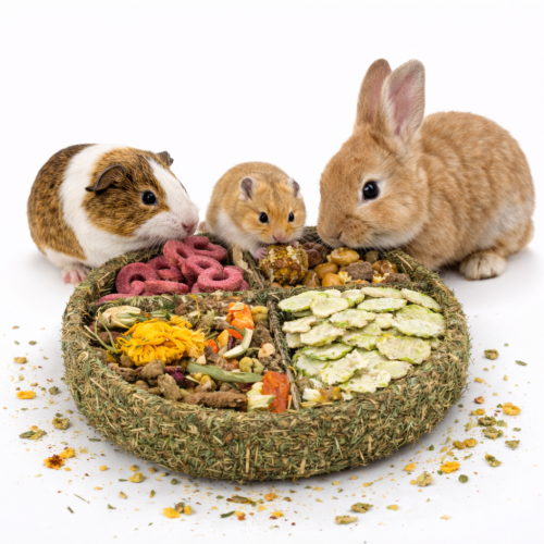 JR FARM Gourmet talíř k zobání se zeleninou, bylinkami a hrachem pro papoušky 100 g od ParrotPlanet.cz