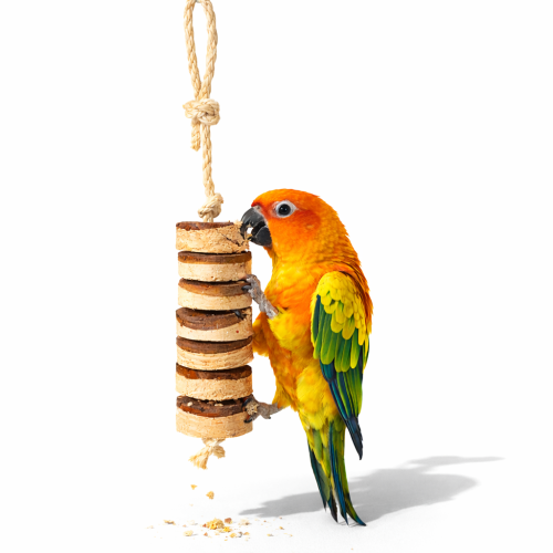 Naturalny Kebab dla średnich papug rozm.M  od ParrotPlanet.pl