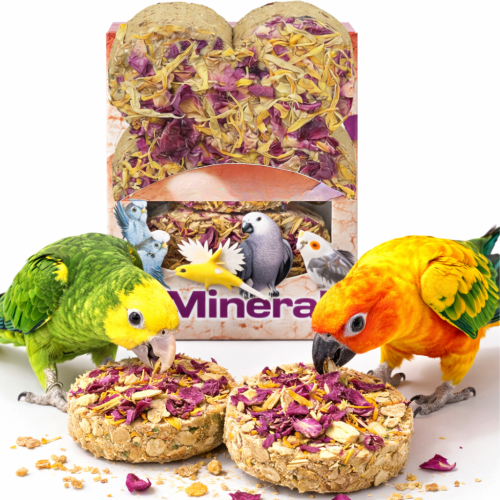 Minerální kostka s květinami a obilím – pro všechny papoušky od ParrotPlanet.cz