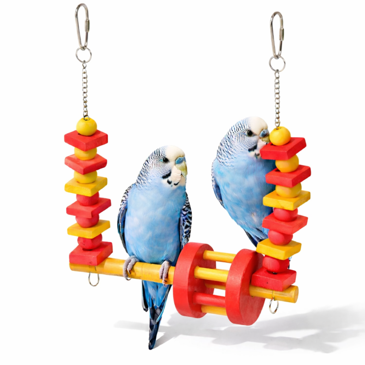 Huśtawka dla Papug Diabelski Młyn M - dla małych i średnich papug od ParrotPlanet.pl