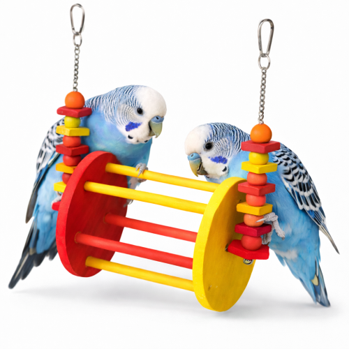Drewniana Huśtawka dla małych papug Diabelski Młyn S od ParorPlanet.pl