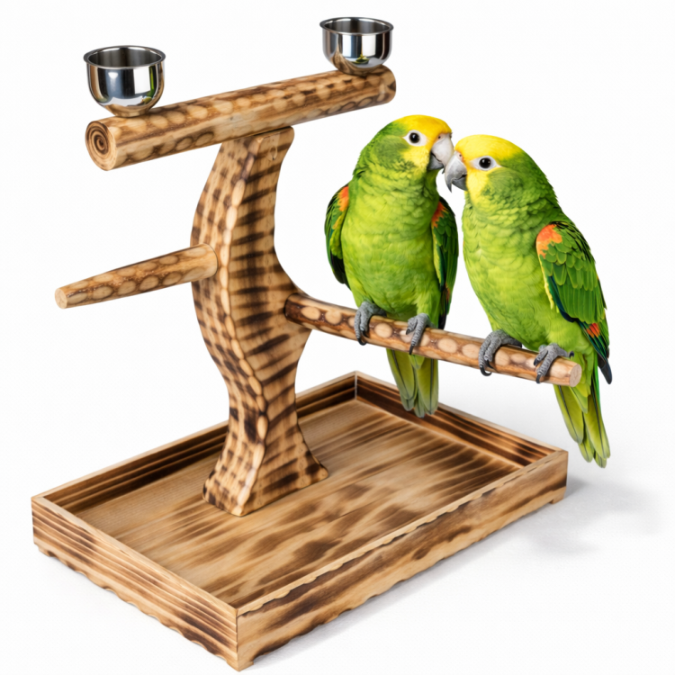 Přírodní dřevěný stojan – tyč – pro střední a velké papoušky od ParrotPlanet.cz