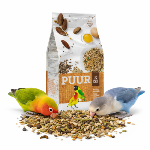 Gourmet směs semen pro agapornisy | vyvážené krmivo se světlicí a datlemi od ParrotPlanet.cz