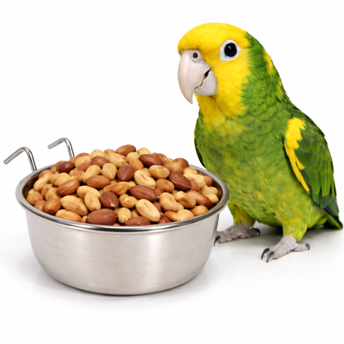 Zolux závěsná miska z nerezové oceli 0,84 l | miska do klece pro papoušky od ParrotPlanet.cz