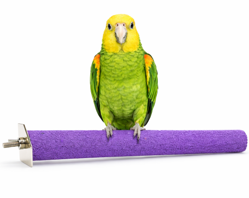 ChatGPT Image 12 mar 2026, 13_50_05.png