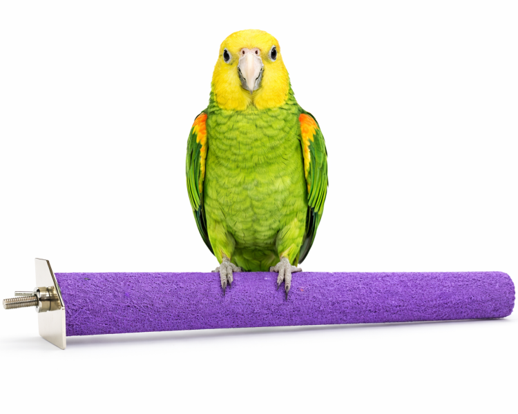 ChatGPT Image 12 mar 2026, 13_50_05.png