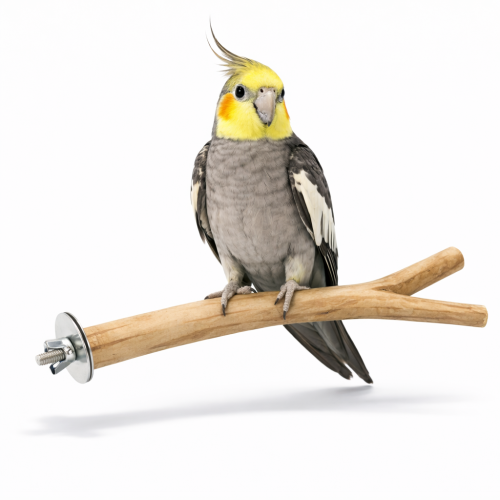 Naturalna Żerdź Drewniana 20 cm | Drewniana żerdź do klatki dla ptaków ParrotPlanet.pl