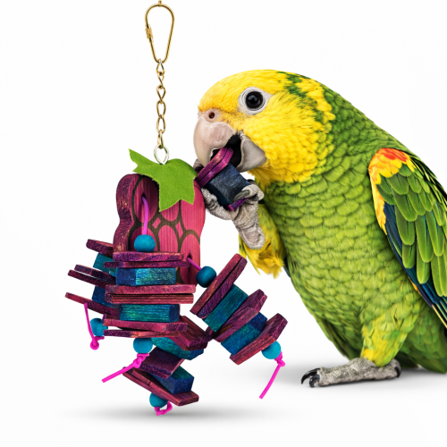 Winogrono - soczysta zabawka dla wszystkich papug od ParrotPlanet.pl