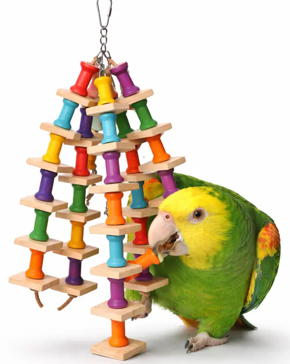 Velmi pěkná hračka – dřevěná hračka na okusování pro střední a velké papoušky – 35 cm od ParrotPlanet.cz