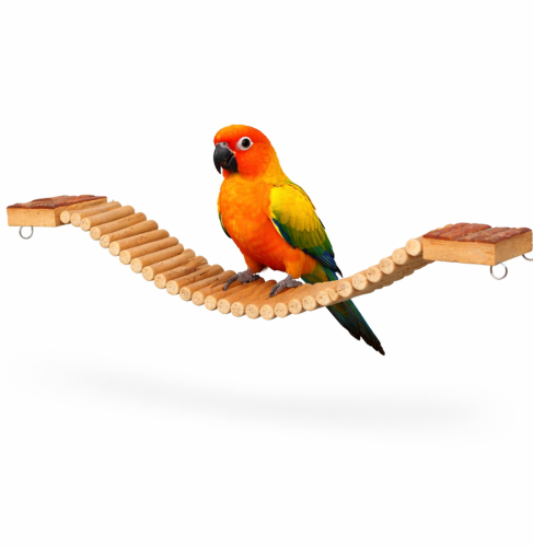 Mostek - dla średnich i małych papu od ParrotPlanet.pl