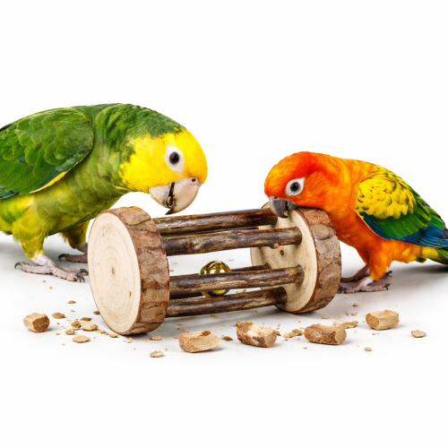 Rolka do zabawy z dzwonkiem 7 cm – drewniana zabawka dla papug od ParrotPlanet.pl