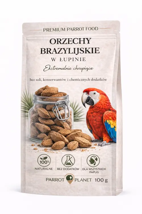 Premium Parrot Food | Orzechy Brazylijskie w łupinie | Naturalne smakołyki dla wszystkich papug 100g od ParrotPlanet.pl