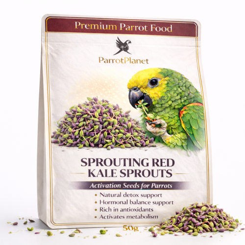 Premium Parrot Food | Jarmuż Czerwony | Nasiona na Kiełki | dla Papug 50g  od ParrotPlanet.pl