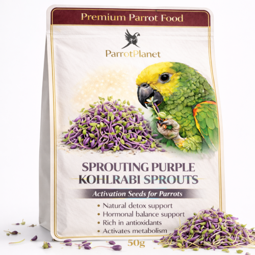 Premium Parrot Food | Kalarepa Czerwona | Nasiona na Kiełki | dla Papug 50g od ParrotPlanet.pl