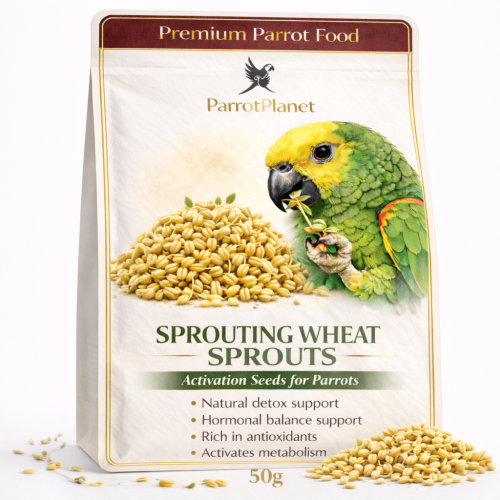 Premium Parrot Food | Pszenica | Nasiona na Kiełki | dla Papug 50g od ParrotPlanet.pl