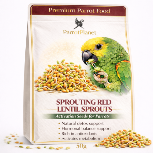 Premium Parrot Food | Soczewica Czerwona | Nasiona na Kiełki | dla Papug 50g  od ParrotPlanet.pl