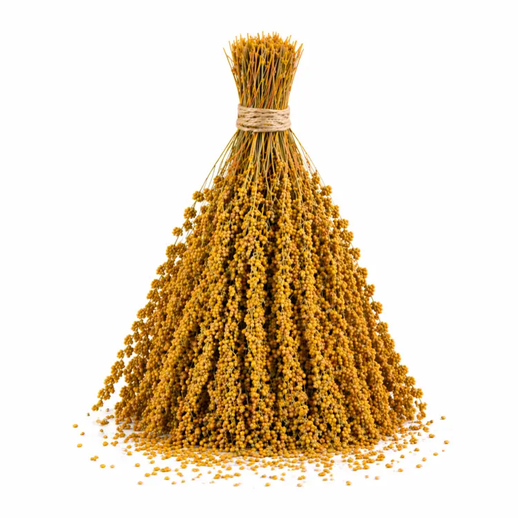 TIVO Spray Millet yellow- proso żółte w kłosach 150g  od ParrotPlanet.pl