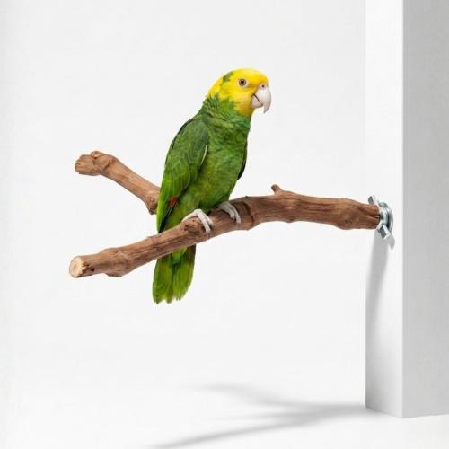 Přírodní bidýlko z vinné révy ve tvaru Y pro papoušky – L – cca Ø 3 × 30 cm ParrotPlanet.cz