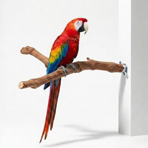 Přírodní bidýlko ve tvaru Y z vinné révy XL pro velké papoušky | Délka 40 cm | Průměr 3,5 cm od ParrotPlanet.cz