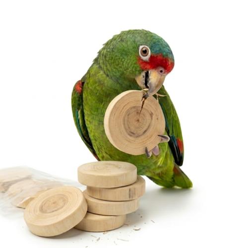 Přírodní dřevěné kotoučky Java – hračka k uchopení pro papoušky | Náhradní díly pro DIY hračky ParrotPlanet.cz