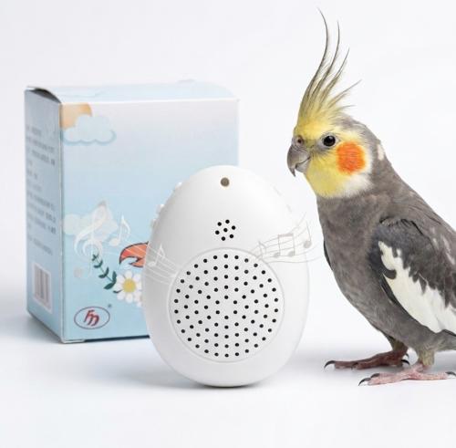 MIMIC ME MINI | Urządzenie do nauki mówienia dla papug  od parrotplanet.pl