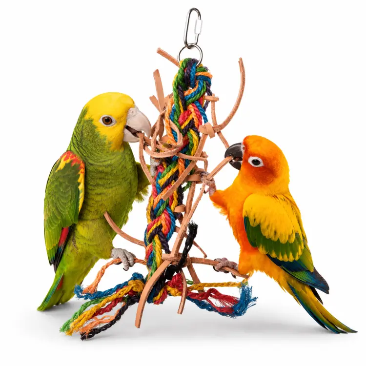 Supełek z Pętelką - zabawka dla papug M od ParrotPlanet.pl