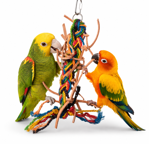 Supełek z Pętelką - zabawka dla papug M od ParrotPlanet.pl
