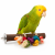 Żerdź z Drewnianymi Zabawkami - Odpoczynek i Rozrywka dla papug | 40 cm od ParrotPlanet.pl