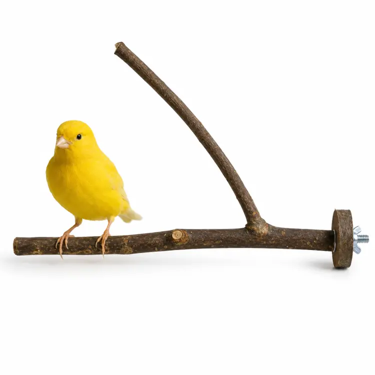 Żerdź żywa natura- dla najmniejszych ptaków od ParrotPlanet.pl