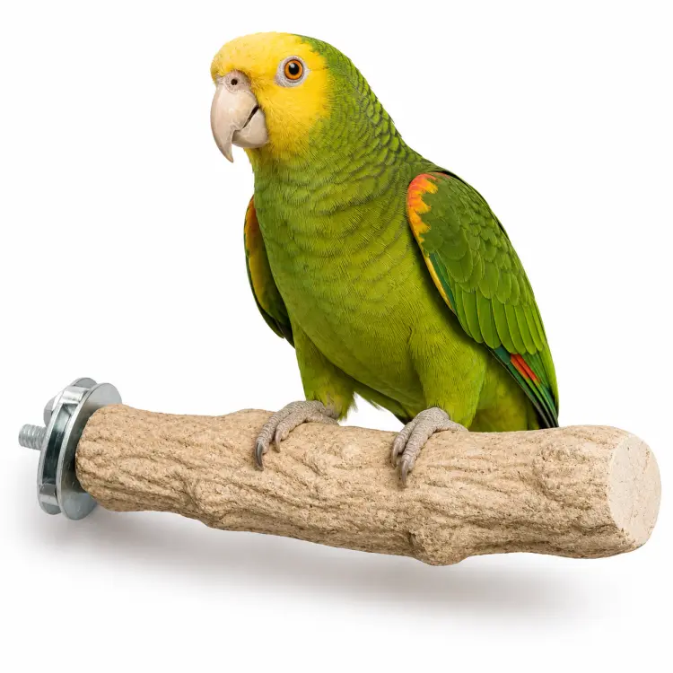 Żerdź dla papug do pielęgnacji pazurów średnica 4 cm od ParrotPlanet.pl