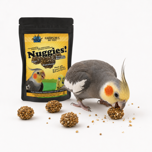 Harrison’s Nuggies 196 g – zdravá odměna a tréninkový pamlsek pro papoušky ParrotPlanet.cz
