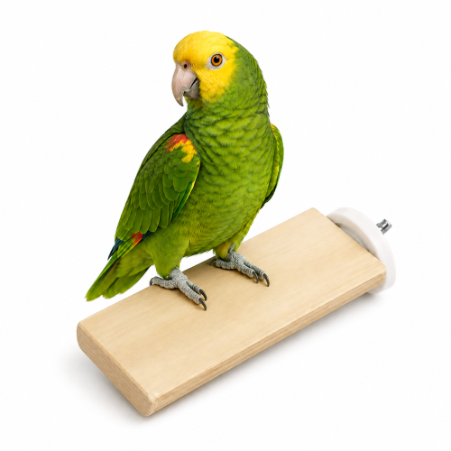 Ploché bidýlko z jávského dřeva pro papoušky – velikost M 20 cm od ParrotPlanet.cz