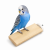 Ploché bidýlko z jávského dřeva pro papoušky – 10 cm od ParrotPlanet.cz