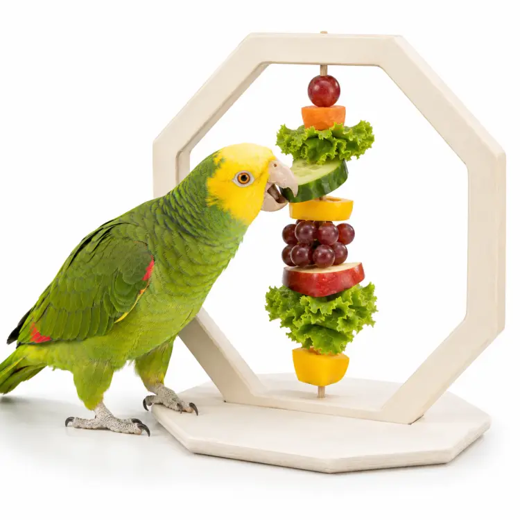 Lunch Time – dřevěné krmítko na ovoce a zeleninu pro papoušky, králíky a hlodavce, 17 × 12 × 17 cm  ParrotPlanet.cz