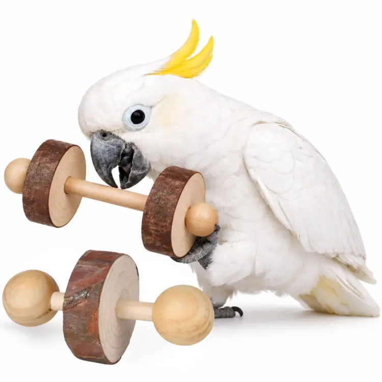 Přírodní mini činky – hračka do pařátku pro papoušky – 2 ks od ParrotPlanet.pl
