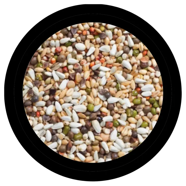 Deli Nature 33 – směs na klíčení pro všechny papoušky 15 kg od ParrotPlanet.cz