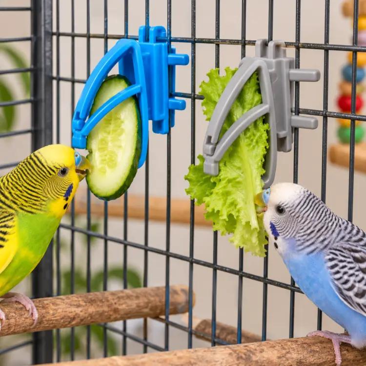 Univerzální držáky na krmivo pro papoušky – klipsy na ovoce a zeleninu 2 ks od ParrotPlanet.cz