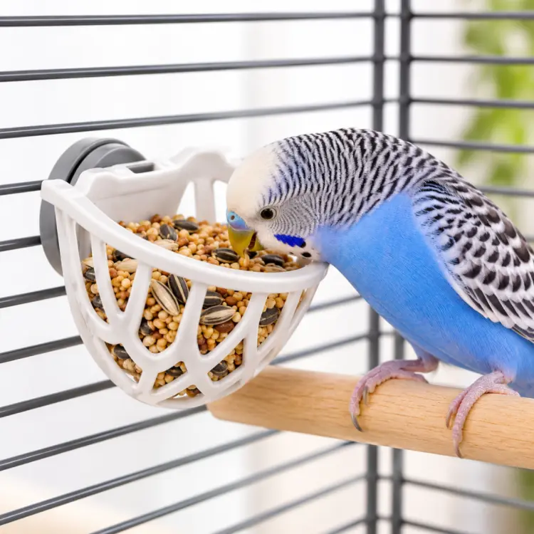IMAC Krmítko na ovoce a zeleninu pro papoušky 9,1 × 6,1 × 5,6 cm – závěsný košík do klece od ParrotPlanet.cz