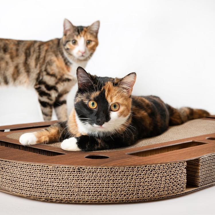 PlayPlate | Hřiště pro kočky se škrabadlem | Canadian Cat od ParrotPlanet.cz