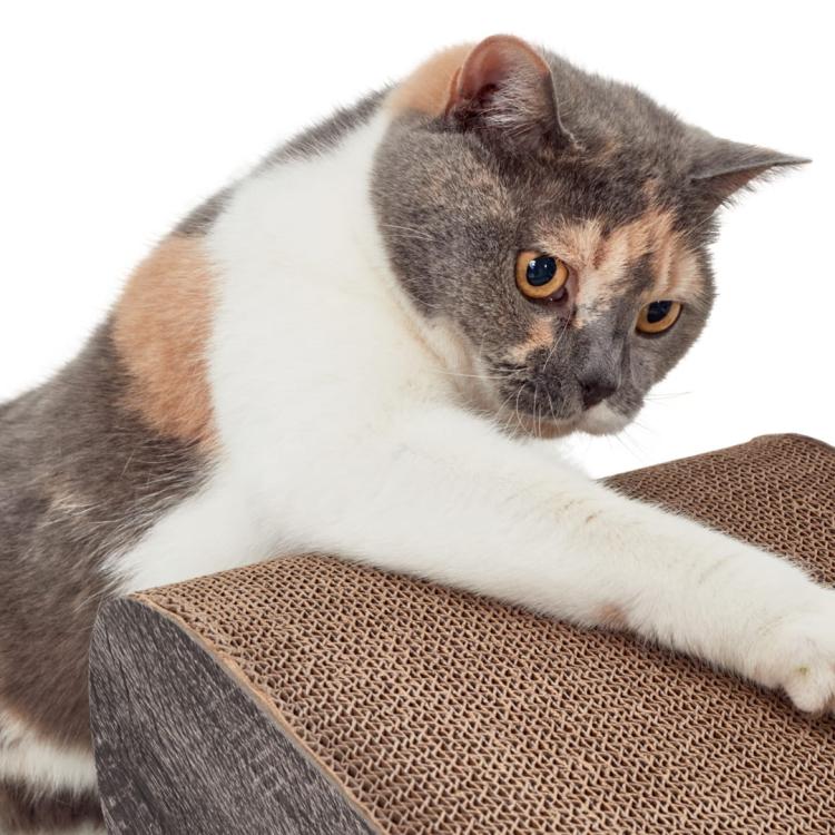 Satellite 2.0 | Škrabadlo pro KOČKY | Canadian Cat | šedá od ParrotPlanet.cz