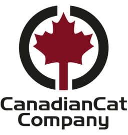 Škrabadlo pro kočky Canadian Cat KANATA kočičí strom - šedé XXL - pro velké kočky od ParrotPlanet.cz