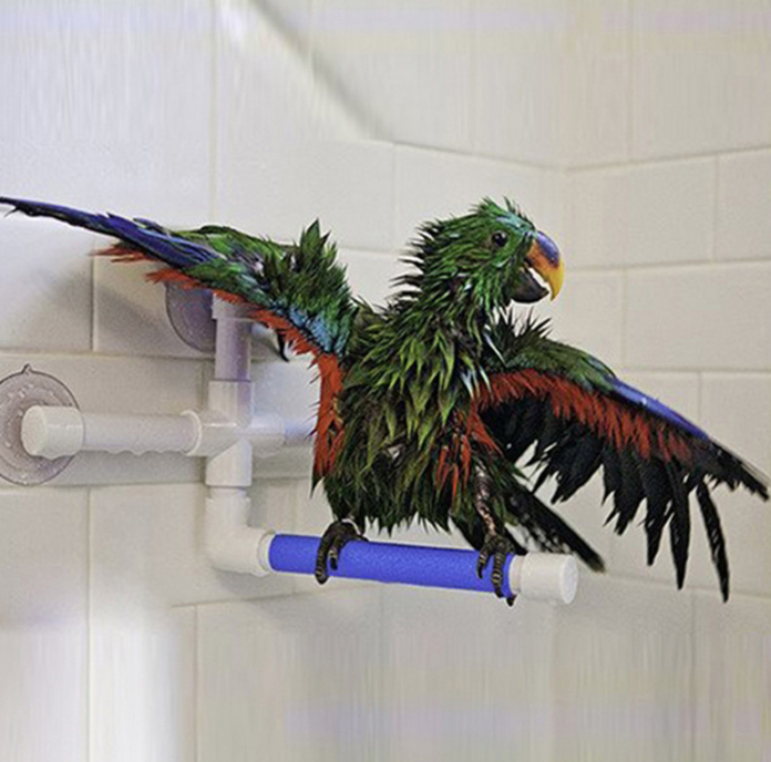 Tyč pod sprchu L – pro střední a velké papoušky od ParrotPlanet.cz