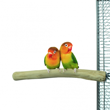 Tyč JAVA S – rovná pro menší papoušky od ParrotPlanet.cz