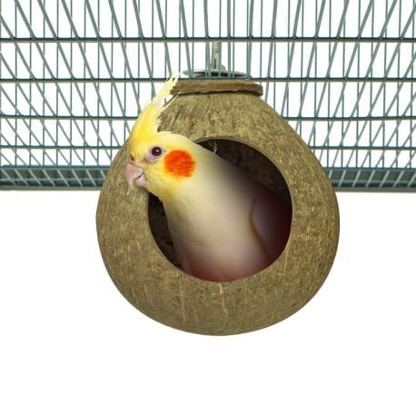 Kokosová dutina – hračka nebo jeskyně pro střední papoušky od ParrotPlanet.cz