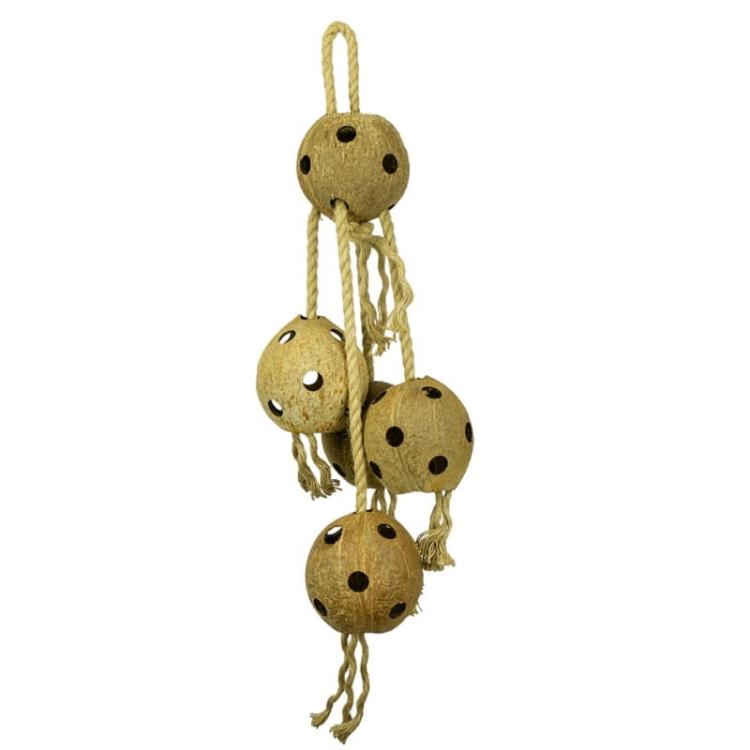 Grande Kokosen – 5 velkých kokosů na provázcích XXL – hračka pro všechny papoušky od ParrotPlanet.cz