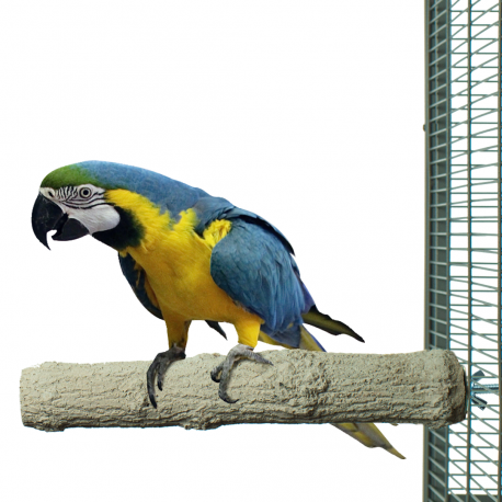 Tyčinka pro péči o drápy ARA 35 x 6 cm od ParrotPlanet.cz