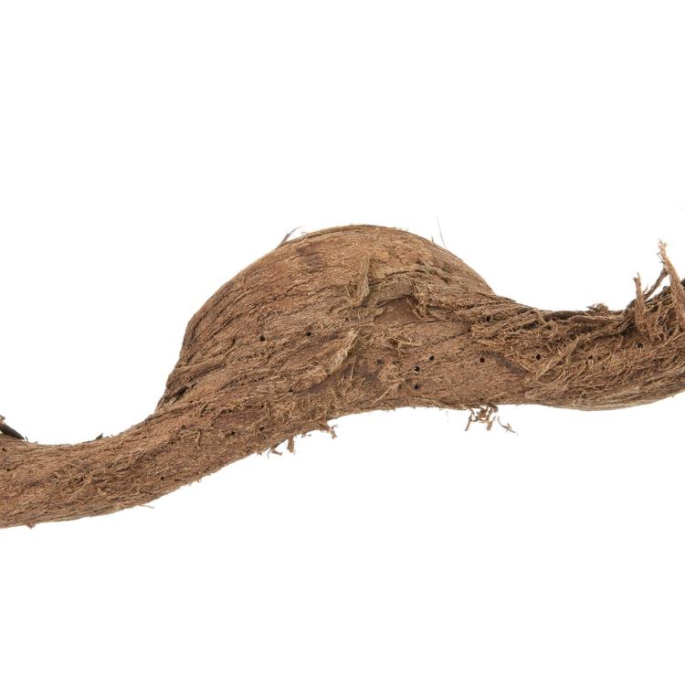 Přírodní kousky liány 40–50 cm bez upevnění od ParrotPlanet.cz
