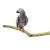 Přírodní tyč z teakového dřeva pro všechny papoušky 100 cm, průměr od 2,5 do 5 cm od ParrotPlanet.cz