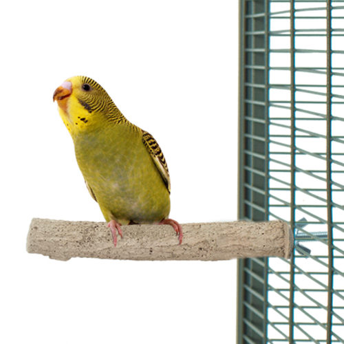 Tyčinka na péči o drápky S 10 cm od ParrotPlanet.cz