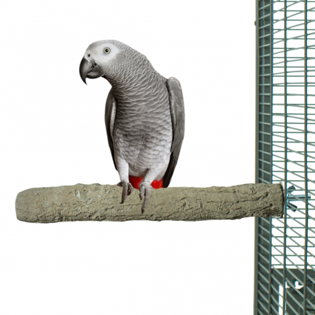 Tyčinka na péči o drápky L 35x5 cm od ParrotPlanet.cz